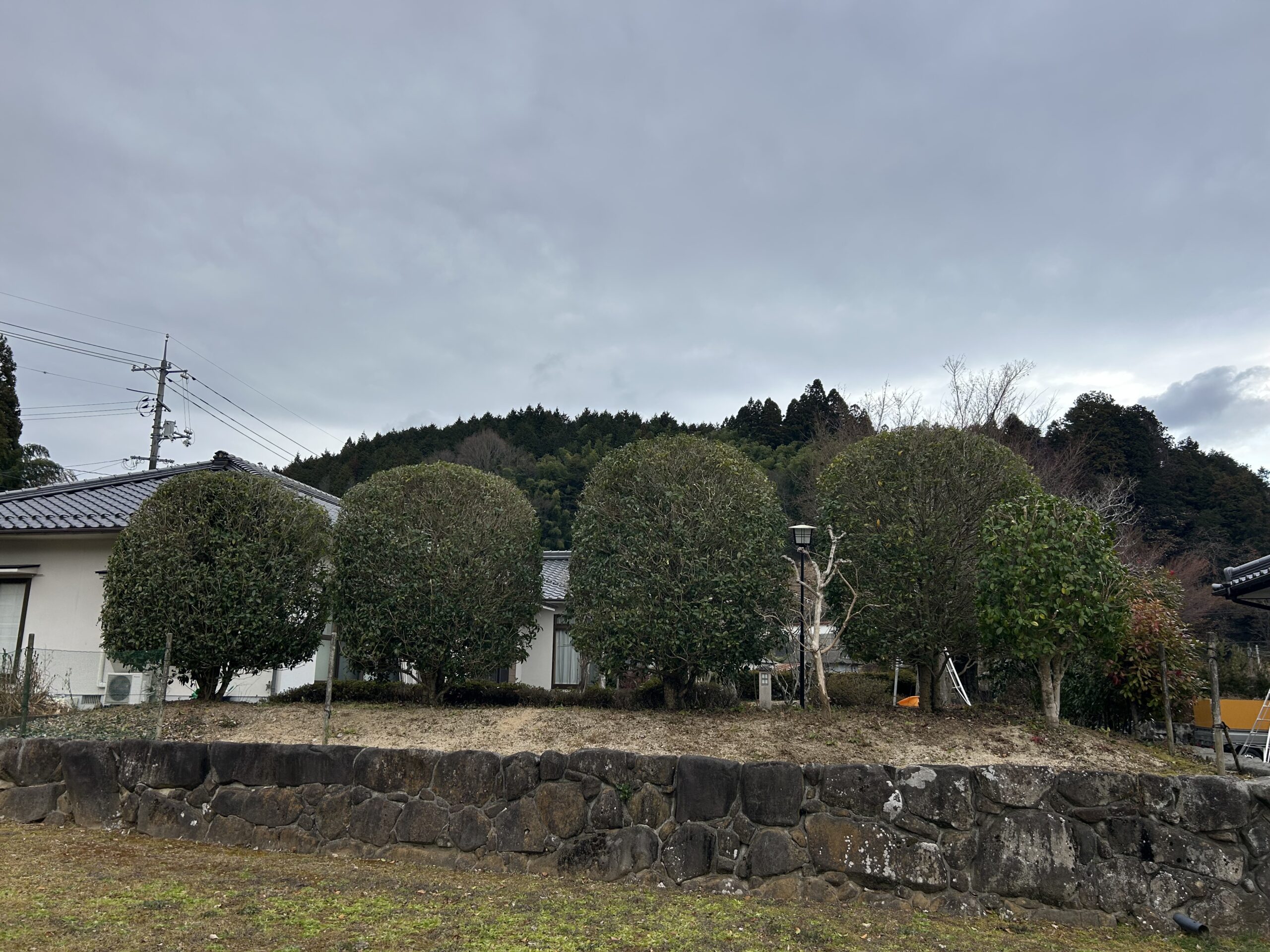 神石高原町　剪定作業